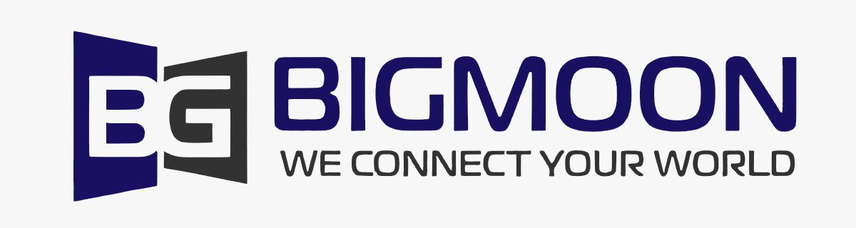 Bigmoon_logo